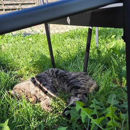 In Neuhof-penkun Apartament