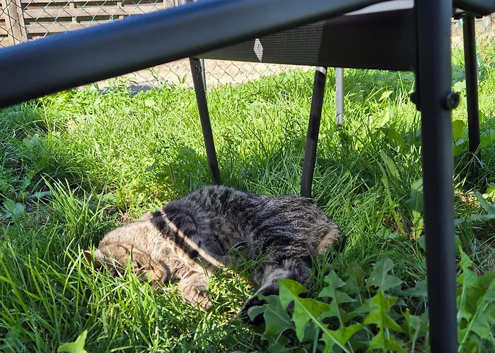 In Neuhof-penkun Apartment